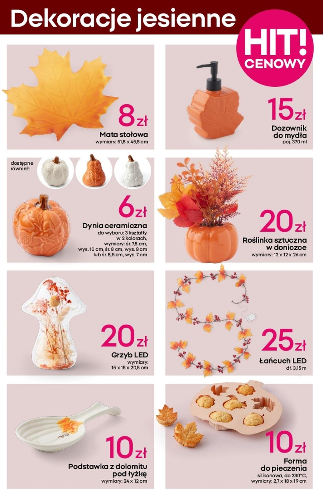 Gazetka promocyjna Pepco str. 9