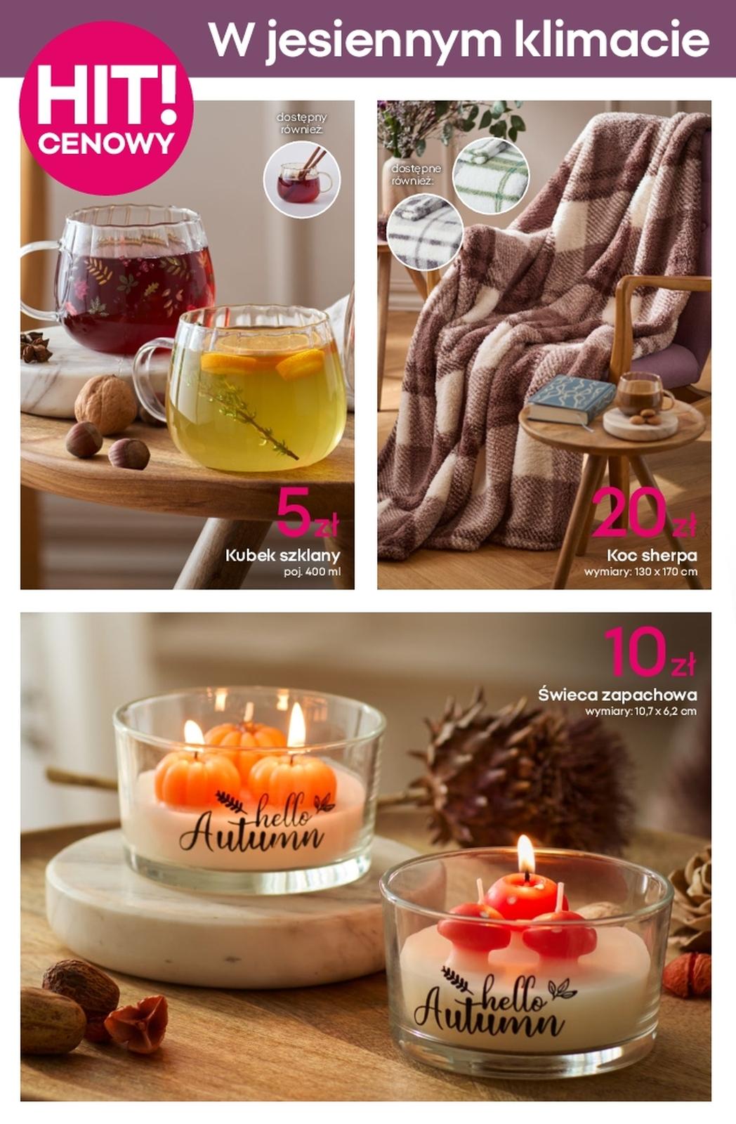 Gazetka promocyjna Pepco str. 11