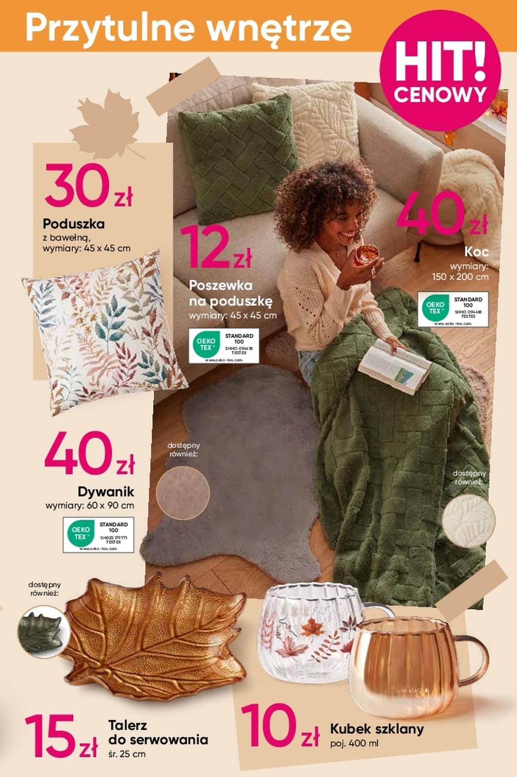 Gazetka promocyjna Pepco str. 3