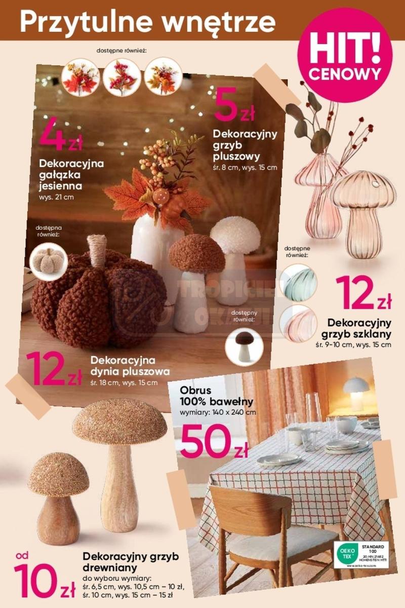 Gazetka promocyjna Pepco str. 5