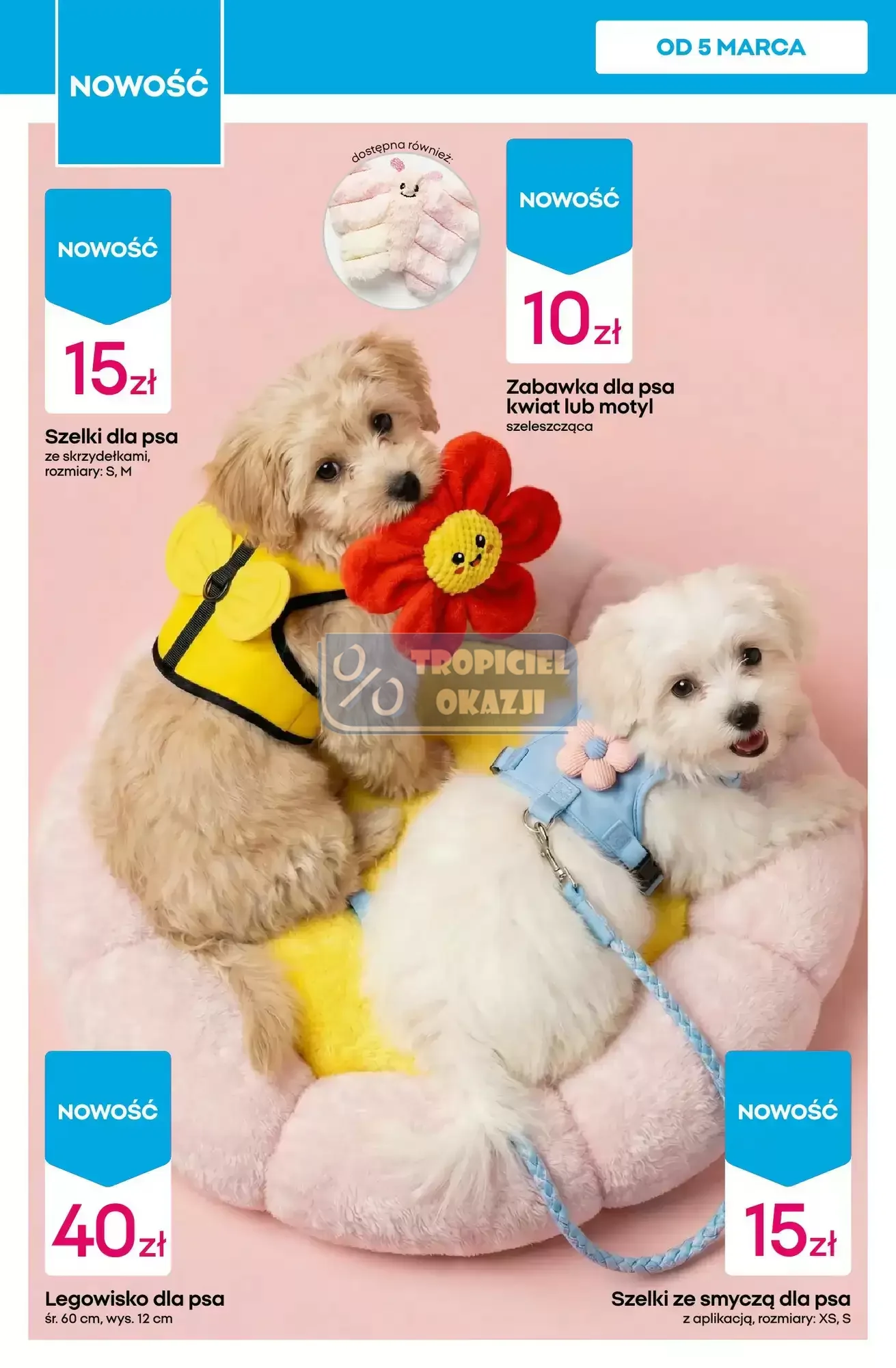 Gazetka promocyjna Pepco str. 10