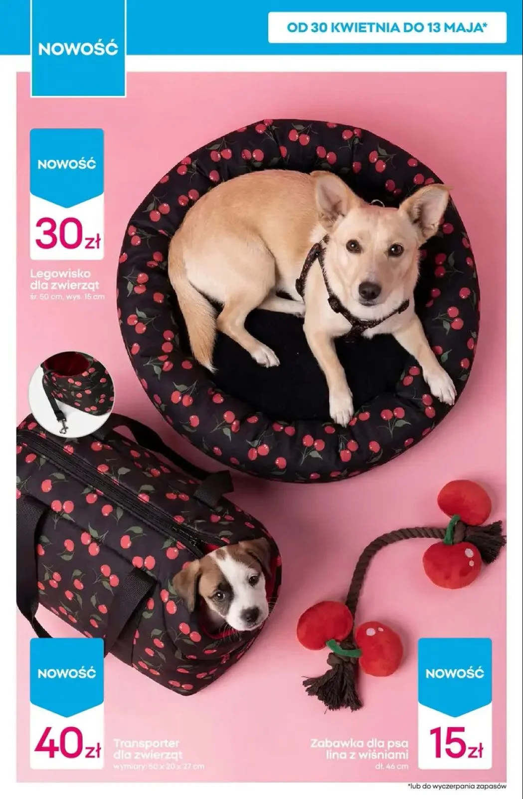 Gazetka promocyjna Pepco str. 8