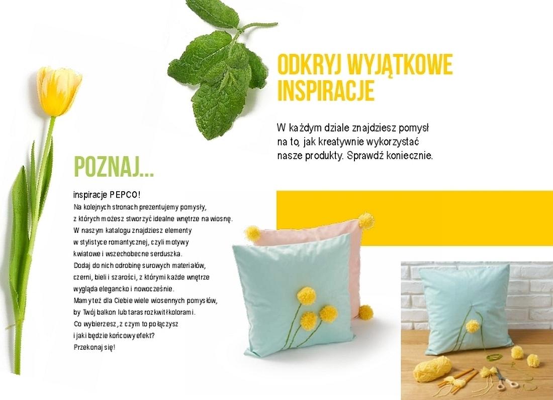Gazetka promocyjna Pepco str. 2
